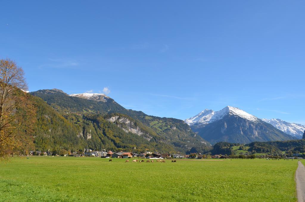 Mountain-Panorama Lägenhet Meiringen Exteriör bild